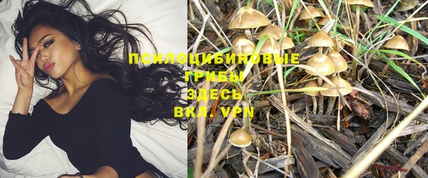 спиды Абдулино